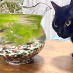 ゴールデンウイーク休暇のお知らせ