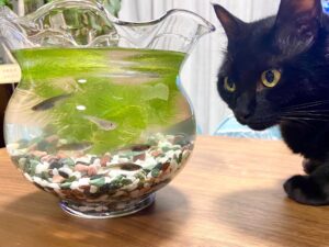 ゴールデンウイーク休暇のお知らせ